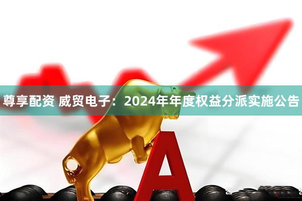 尊享配资 威贸电子：2024年年度权益分派实施公告